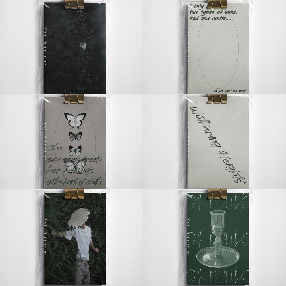 [폭풍의언덕 엽서 6종 세트] 디뮬 감성 인테리어 포스터 엽서 문구 벽장식 벽꾸미기