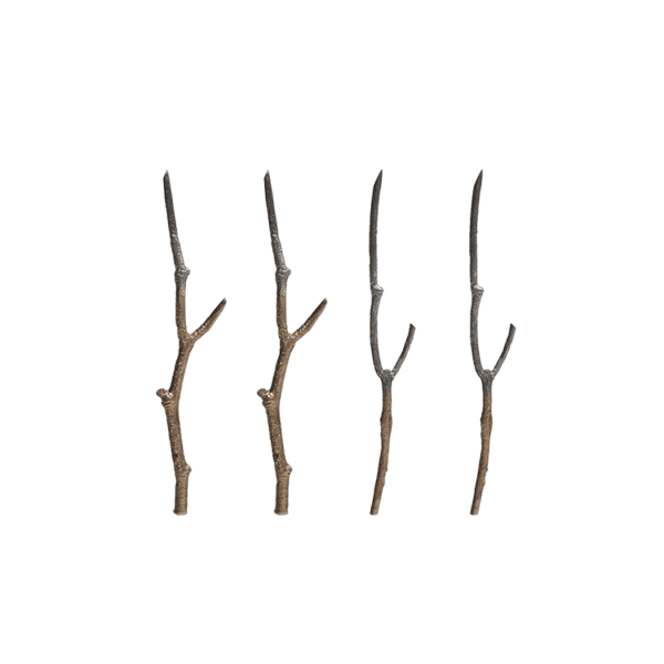 Delphic Dessert Stick_4