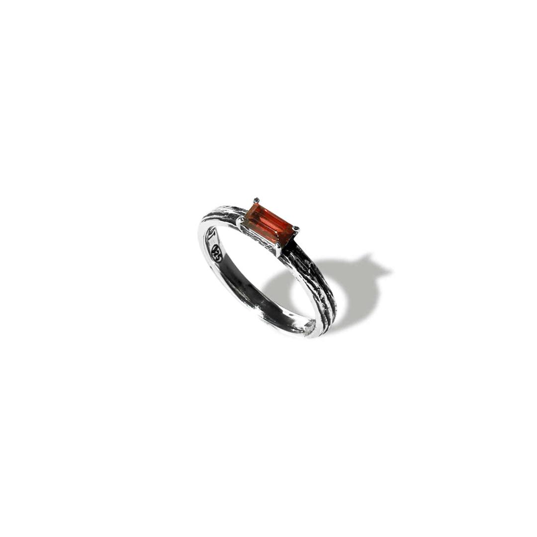 earth ring 023