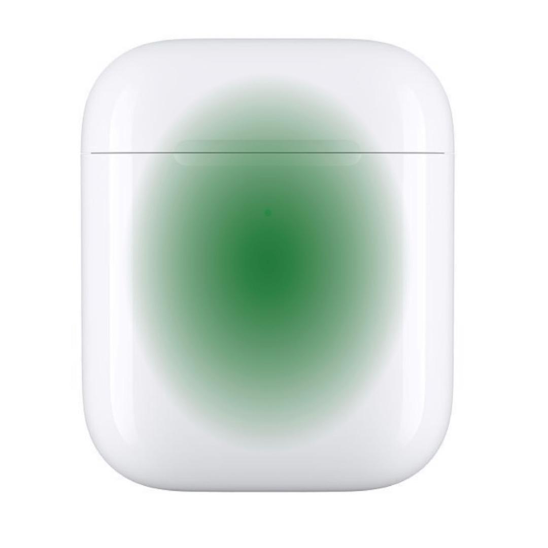 Spread airpods case (green)