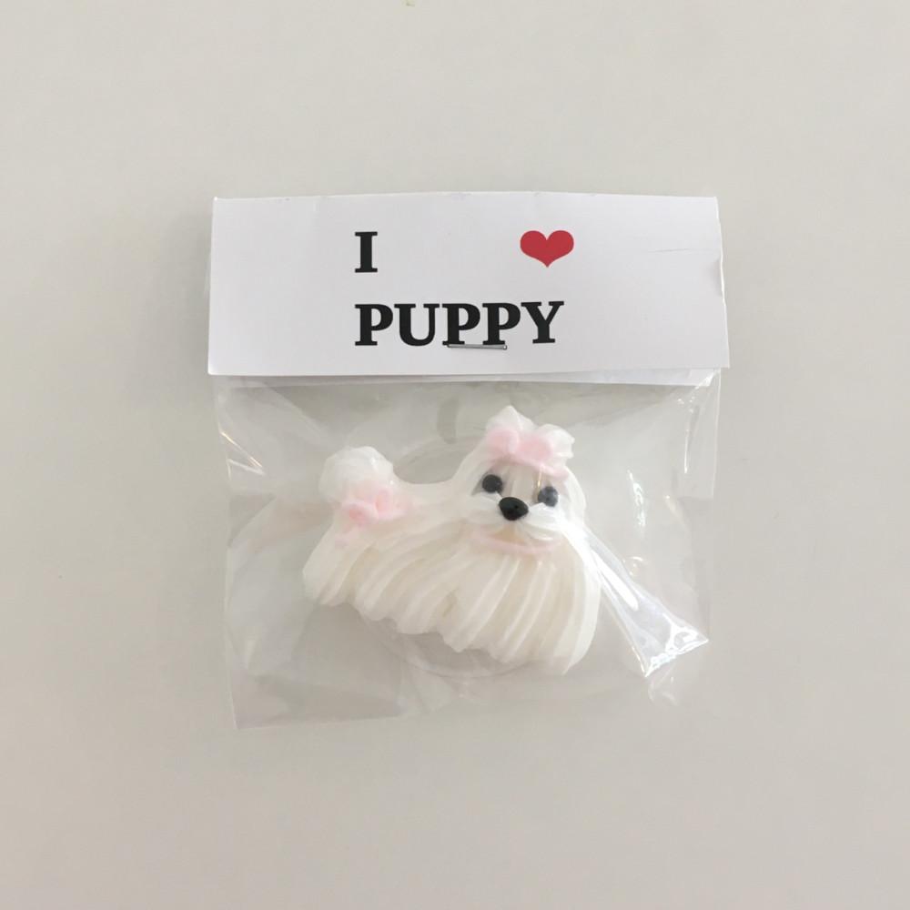 (리뉴얼) mini maltese tok 🎁