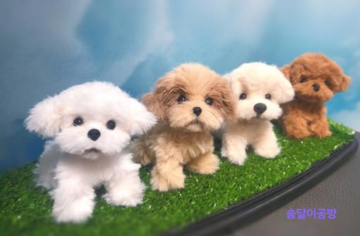 ❤️런칭이벤트❤️미니어처 리얼 강아지 모루인형 미니미