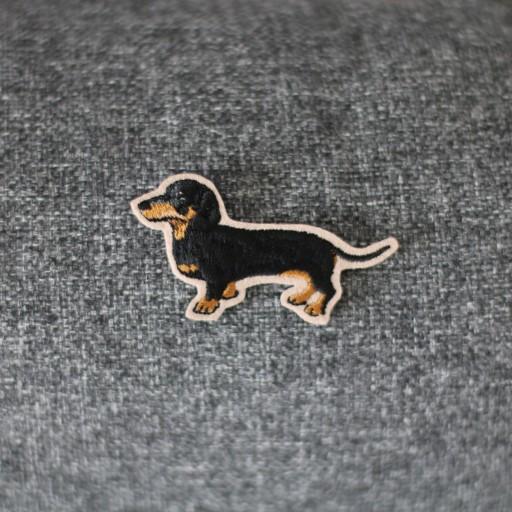 같이걸어요 닥스훈트와펜