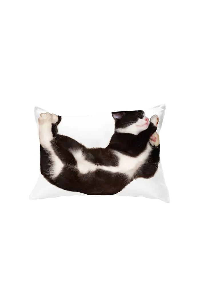 sleep cat pillow cover 고양이 베개 커버