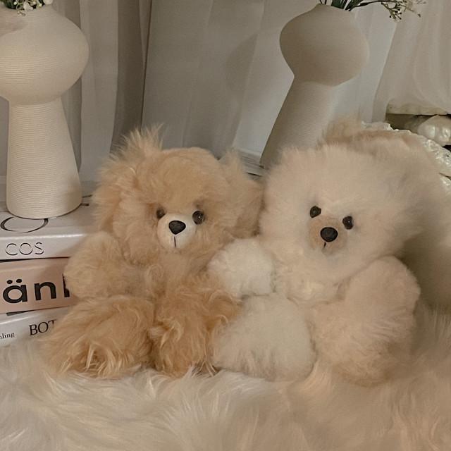 페루 리얼 알파카 베어 곰인형 애착인형