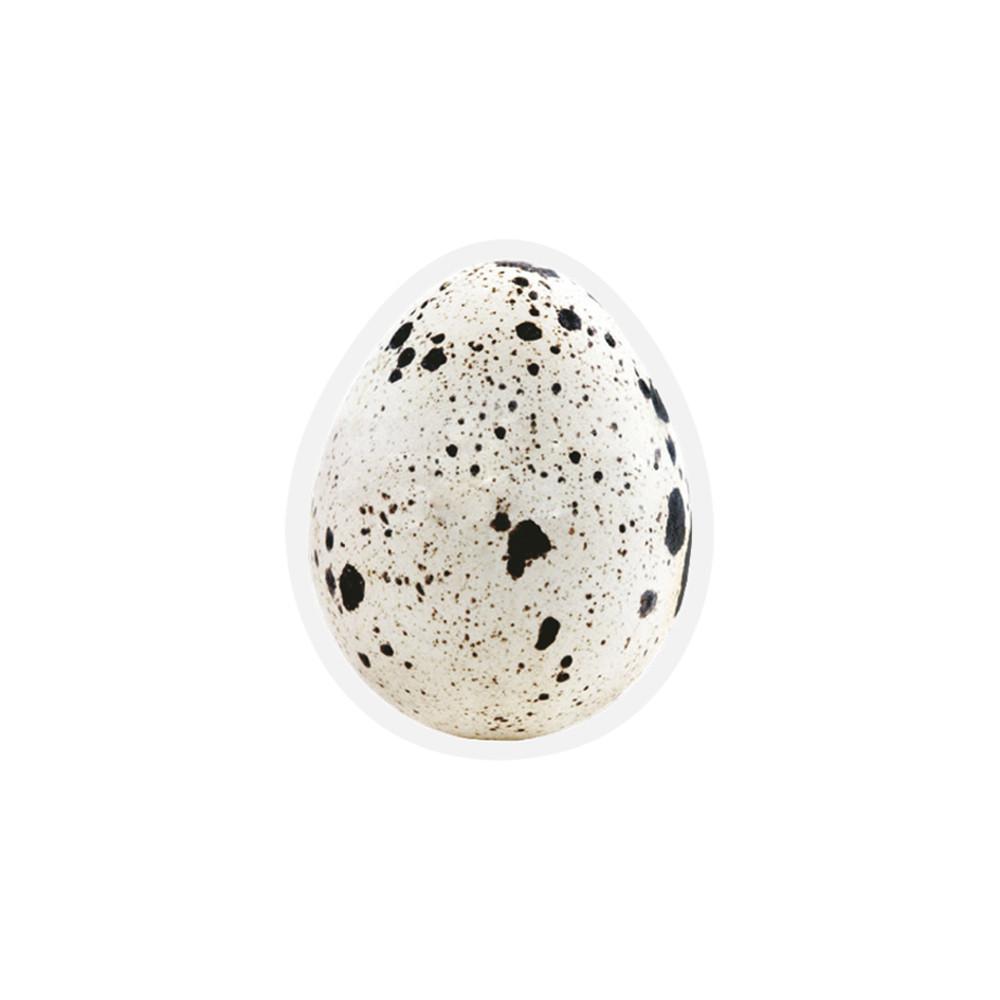 quail’s egg tok , 메추리알 그립 스마트톡