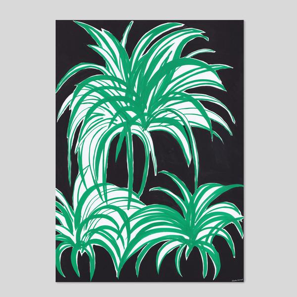 Spider Plant Poster