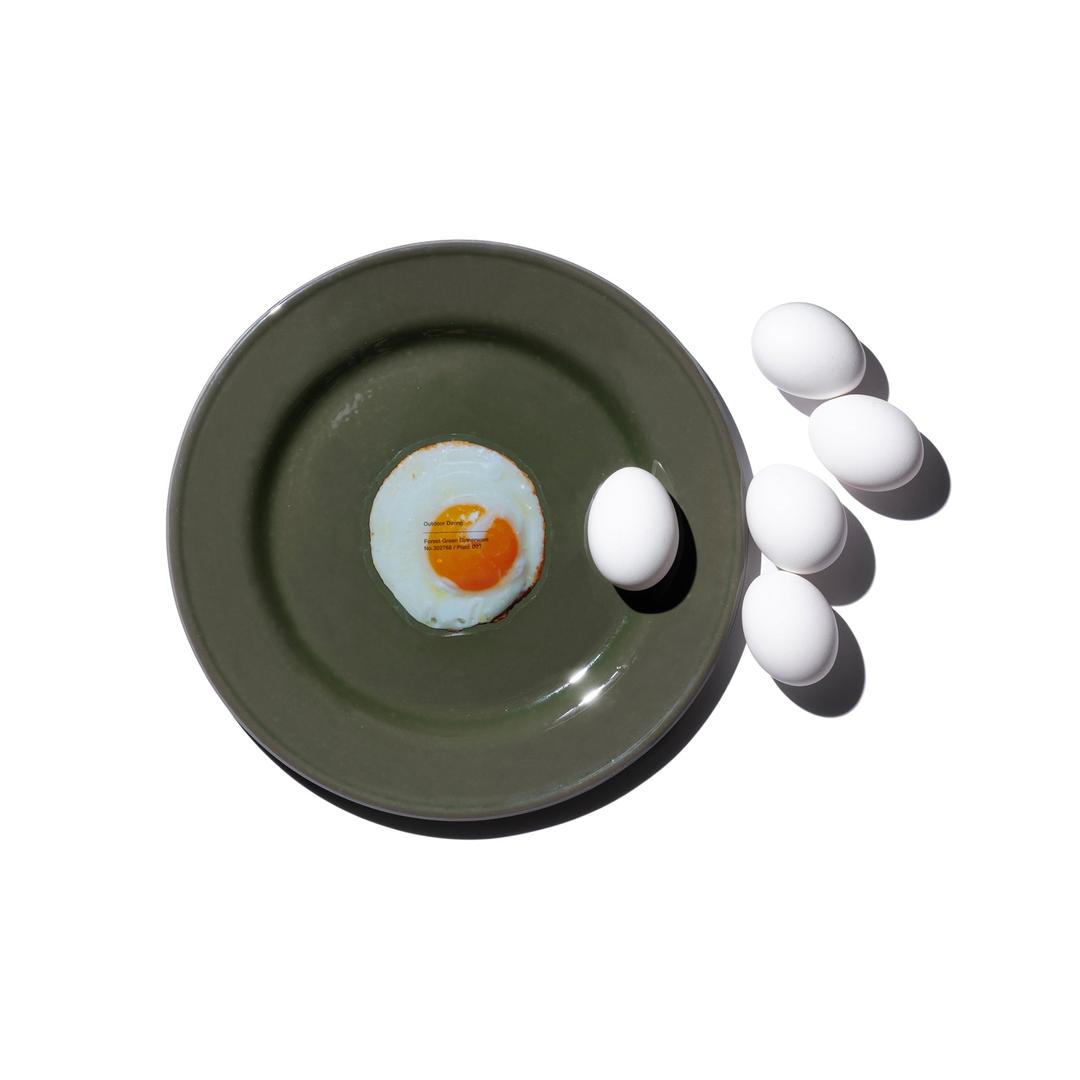 FOREST GREEN DINNERWARE Plate / ?¨£27