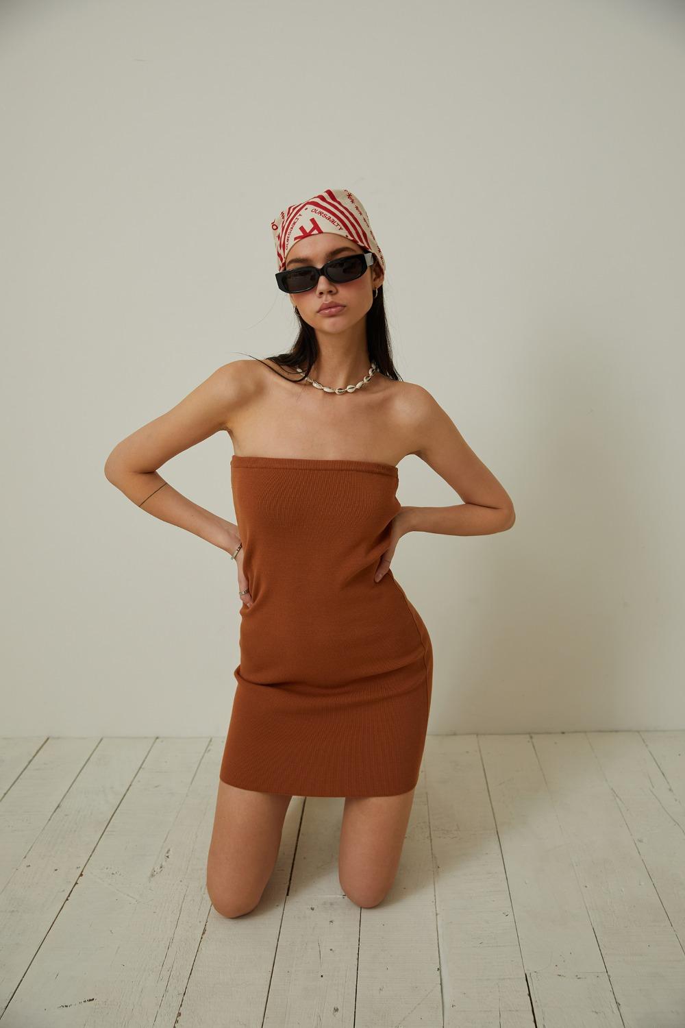 Tube Top Mini Dress / Brown