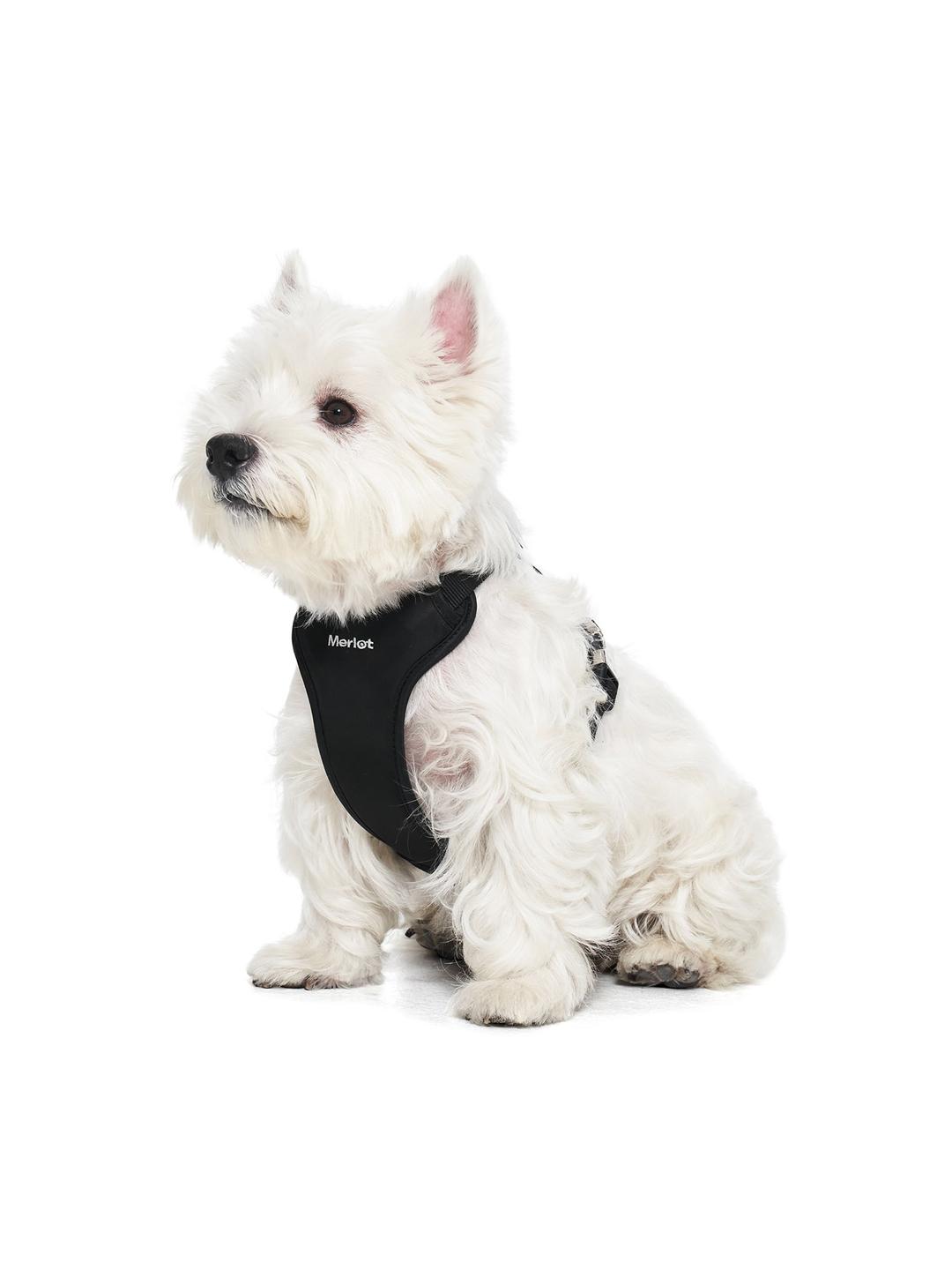 [10CC X MERLOT] Harness - Black
