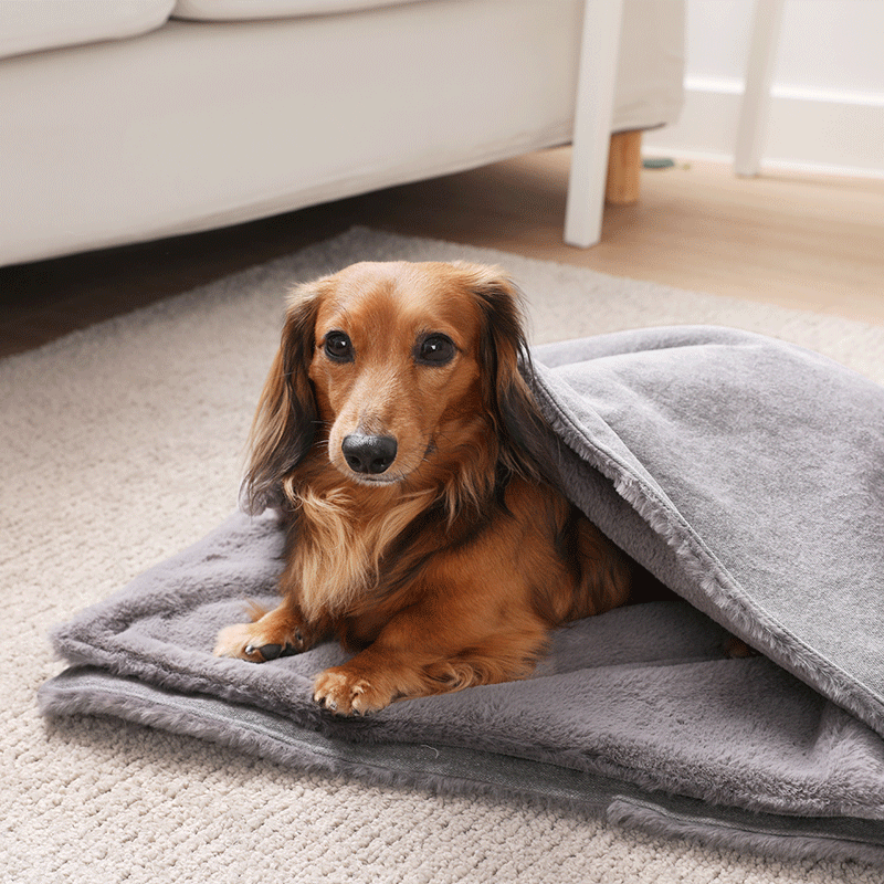 그레이 레이지 퍼 블랭킷