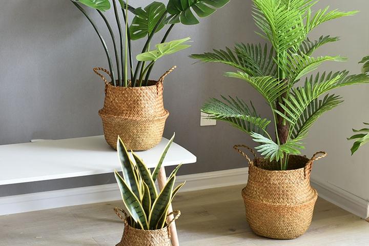 라탄바구니 화분커버 왕골 해초 바구니 소,중,대,특대