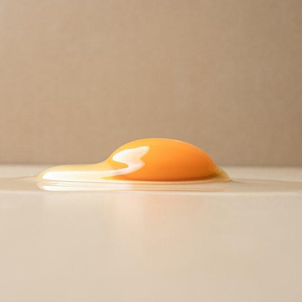 당일산란/당일발송 가농 금계란 1+등급 골드에그 특란 40구(무항생제 농장직송)