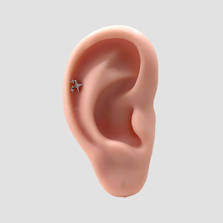 little sparkle 피어싱/귀걸이