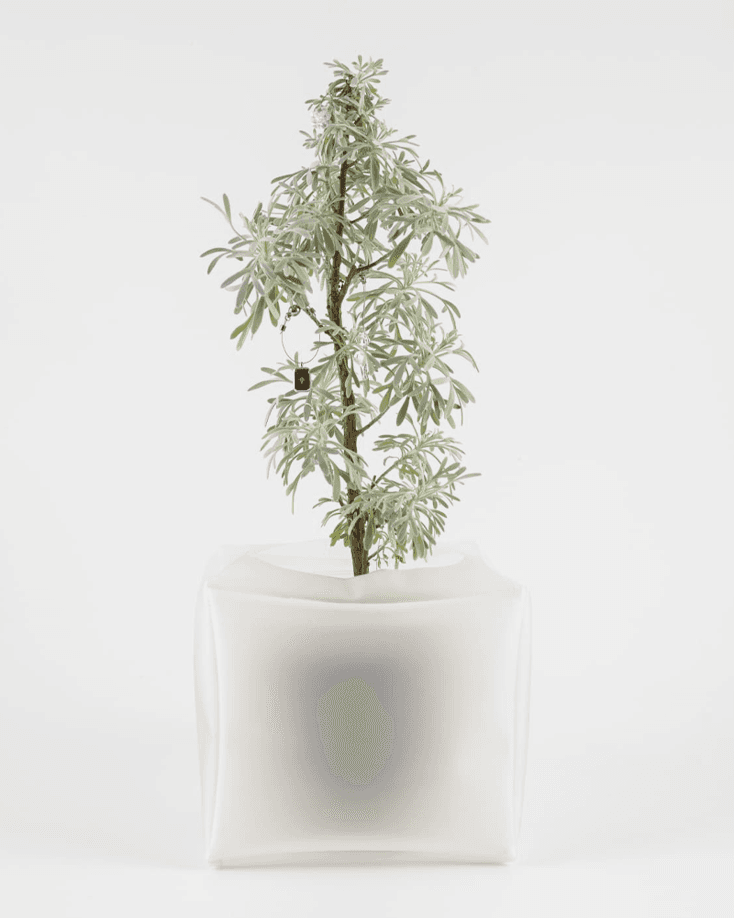 RAINCOAT POT COVER 레인코트 화분 팟 커버