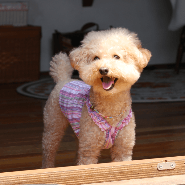 happy-hippie top 하피히피탑 [버베나]