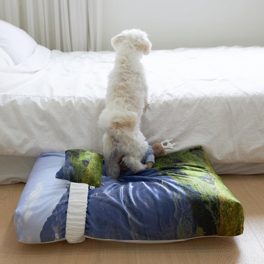 스위스 엔조이 펫 쿠션