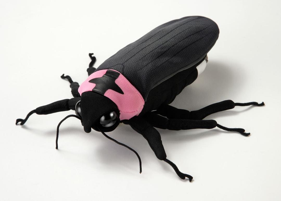 蓄光で光る！ゲンジボタルのぬいぐるみ