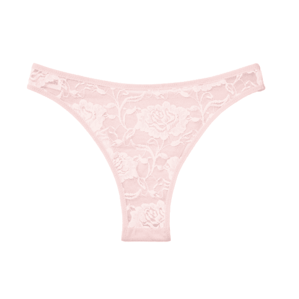 Lace Mesh Cheeky Panty(Softy Pink)