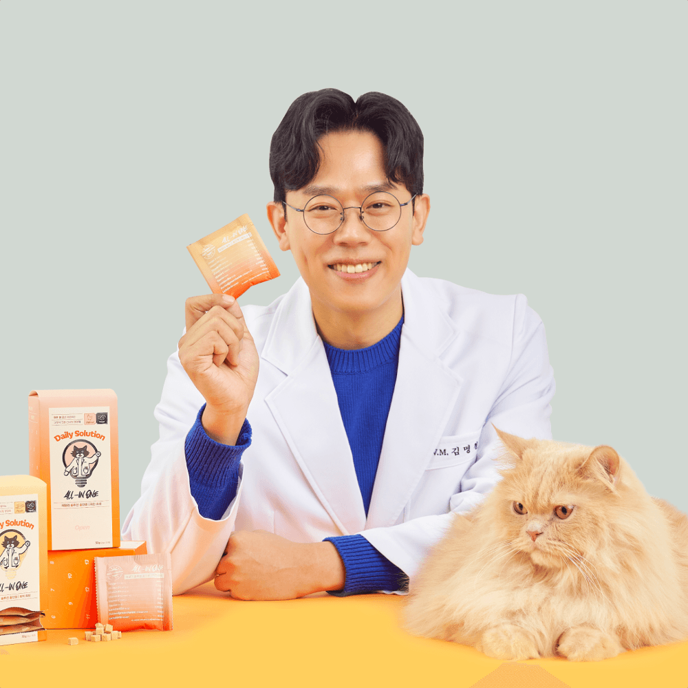데일리 솔루션 올인원