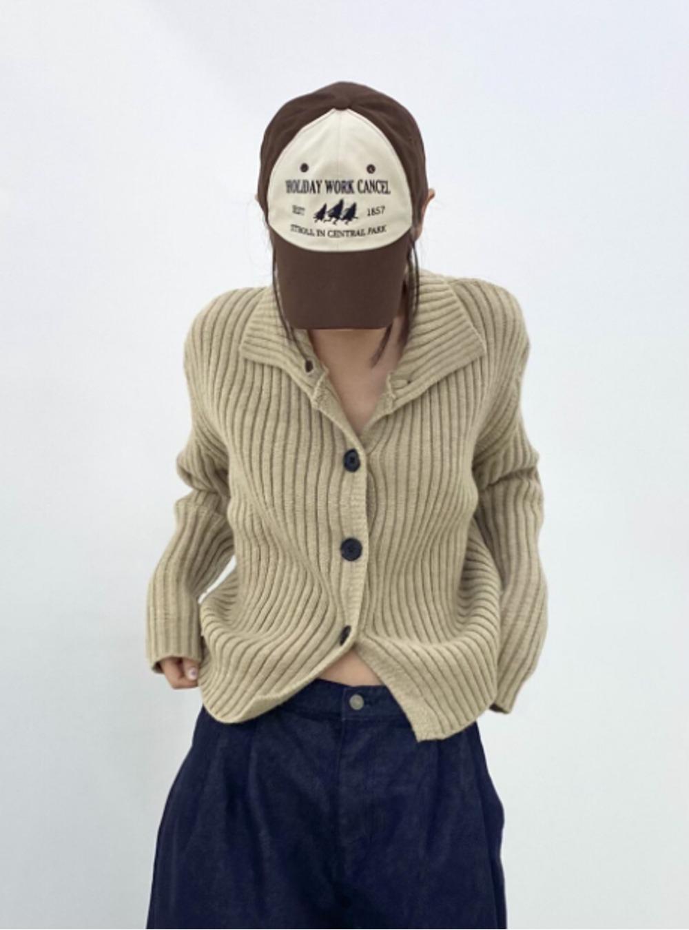 [당일발송] 피트 니트 가디건 스웨터 (4color)