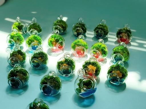 레진미니테라리움