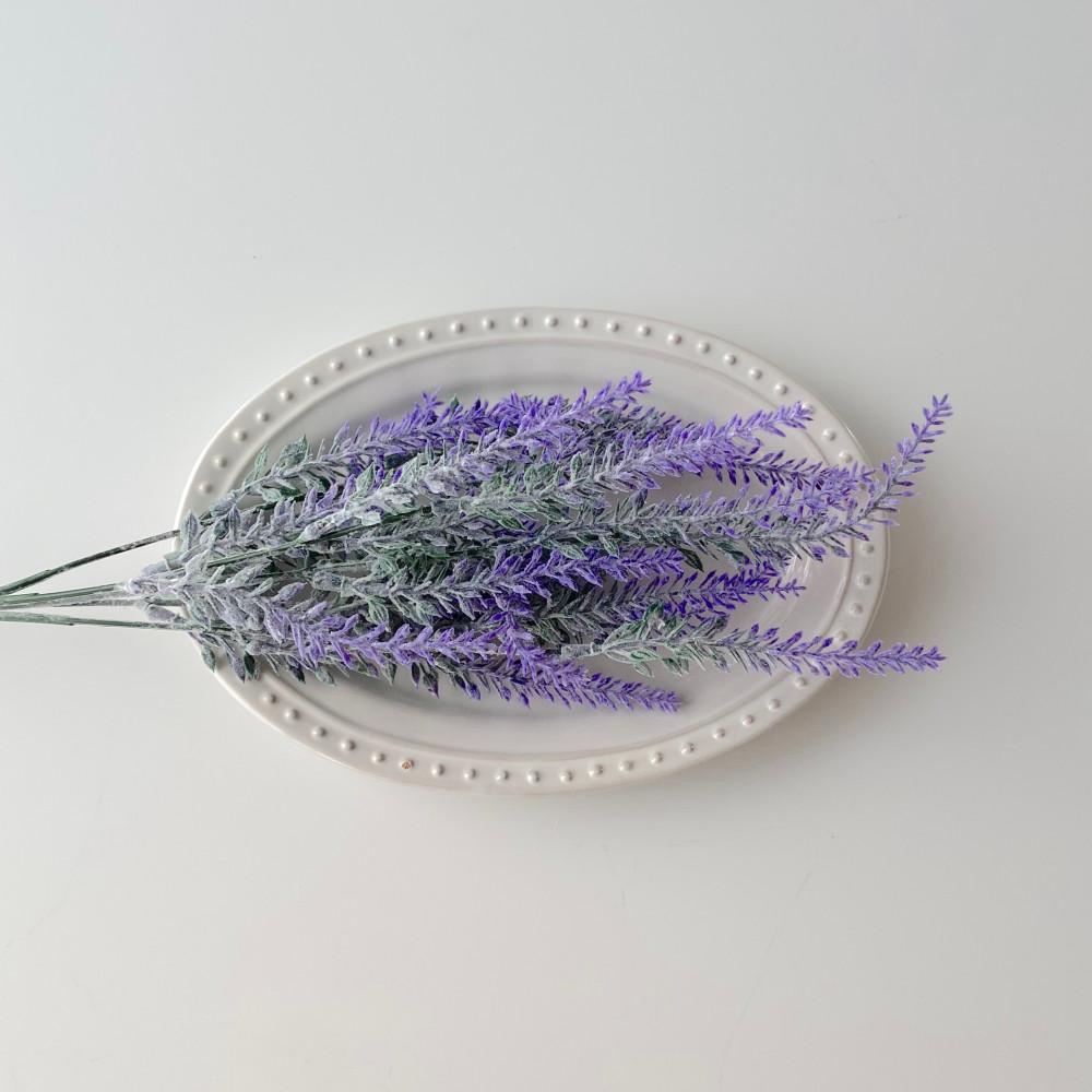 레이나 오벌 플레이트 (낮은형 소)