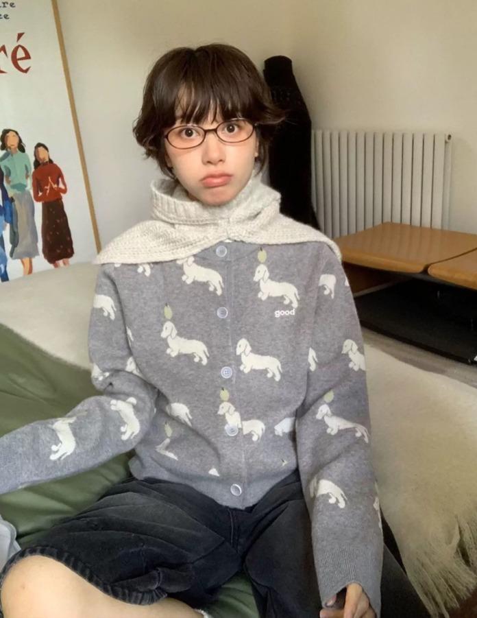 MeihaoStore 닥스훈트 자카드 스웨터 가디건 (그레이)