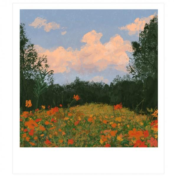 october 엽서