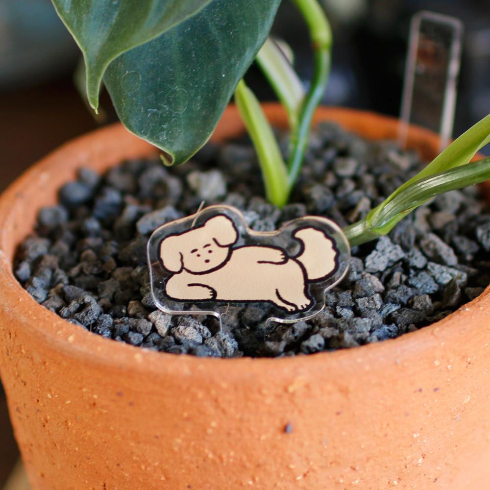 AJ 화분 데코픽(케잌 토퍼 가능)