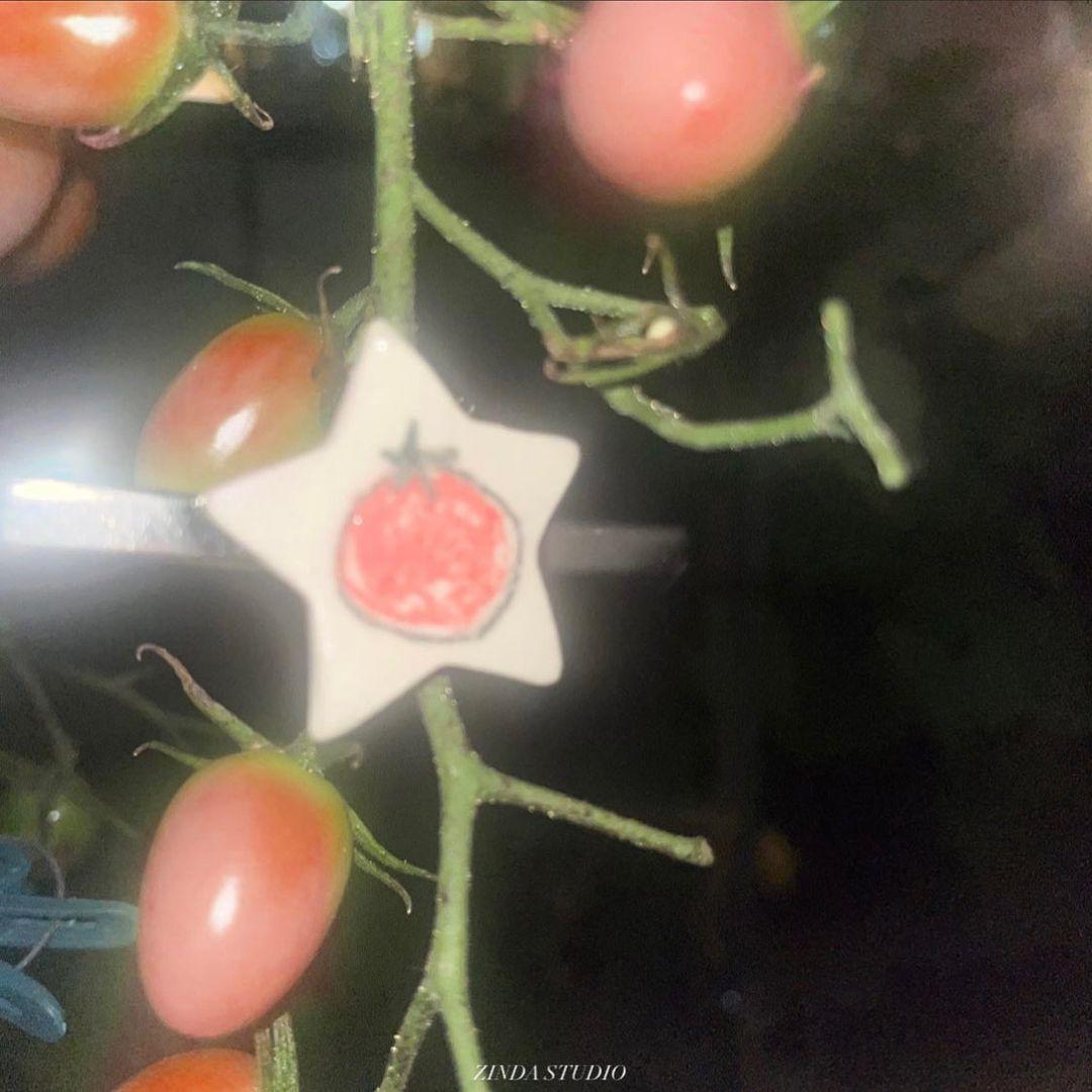 ‧₊˚‧₊Star Hairpin‧₊˚☆‧₊˚