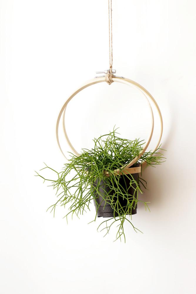 립살리스 카스타 화이트 디시디아 밀리언하트 뽀빠이 피쉬본선인장 행잉플랜트 실내공기정화식물