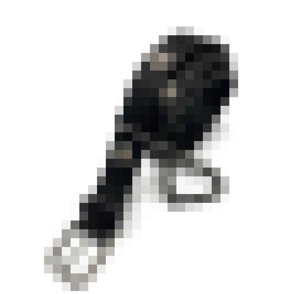 Studded Leather Belt (Black)