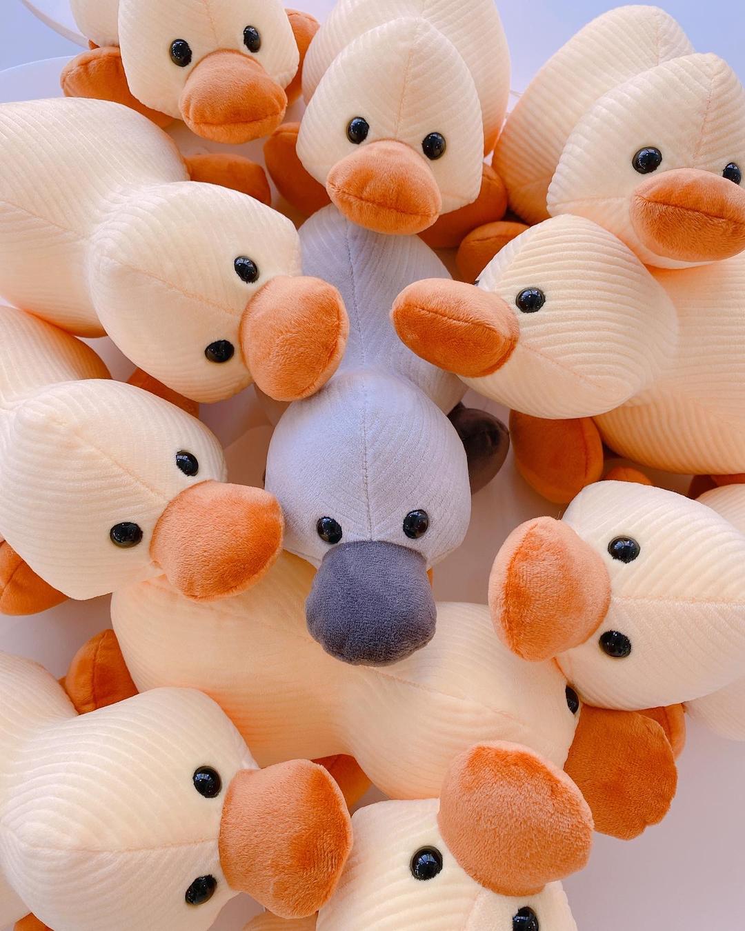 [pre-order] 25cm chewy Duck