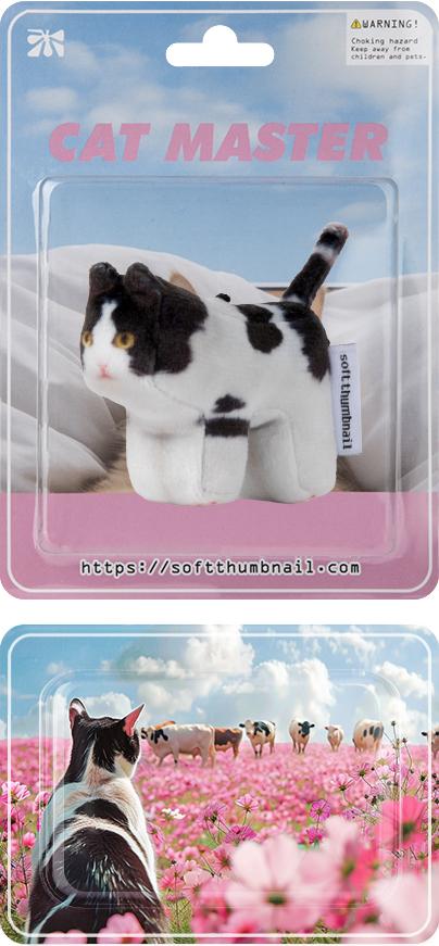 Mumu, Domestic Shorthair