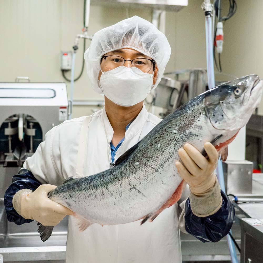 한승욱님의 생연어, 슈페리어급 연어회 스테이크