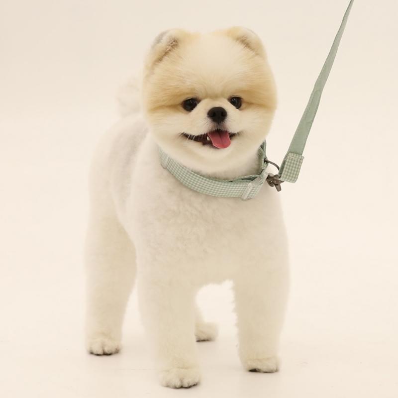 리토가토 코튼캔디 리드줄 1.5m