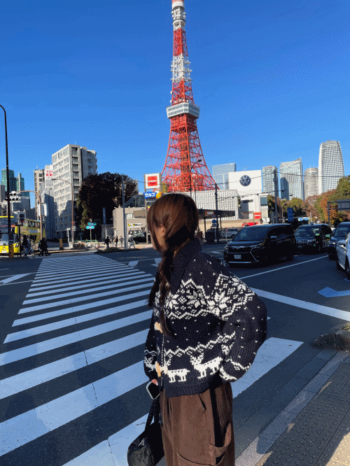 노르딕 토글 가디건 자켓 [col(2)]