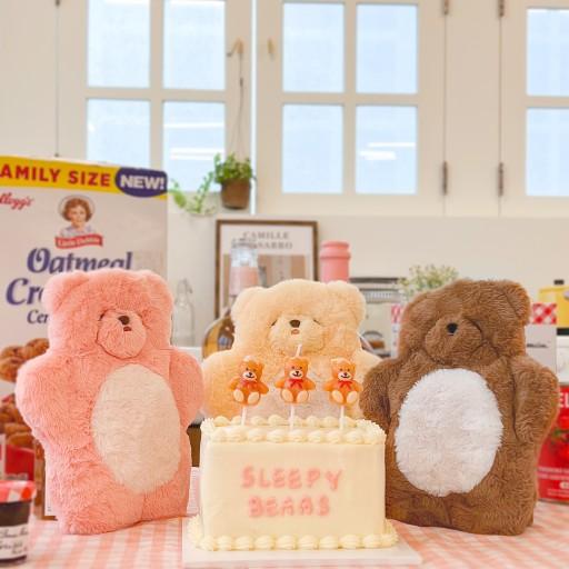 🐻졸린곰 주머니/곰돌이 파우치/필통/가방