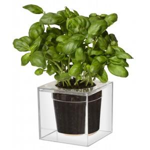 큐브 플라워팟 Cube Flowerpot with water reservoir, Large 16 x 16 cm
