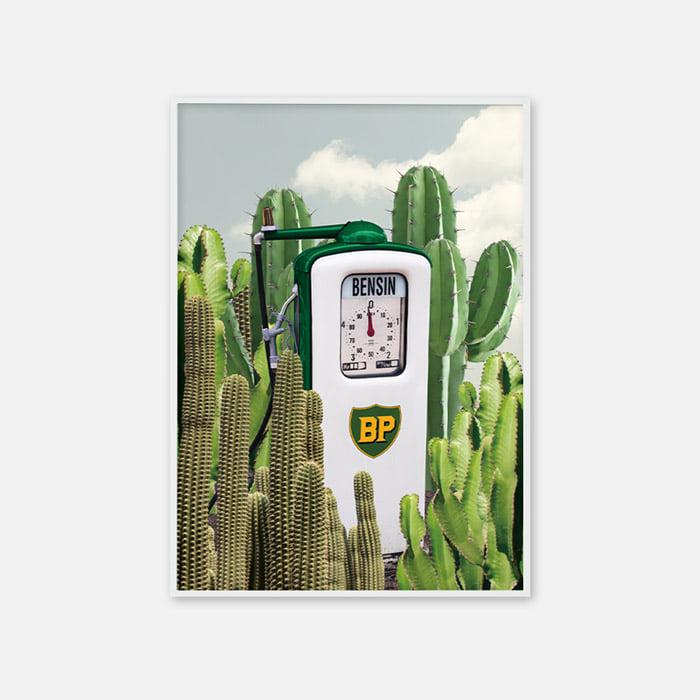 光合成3 포스터