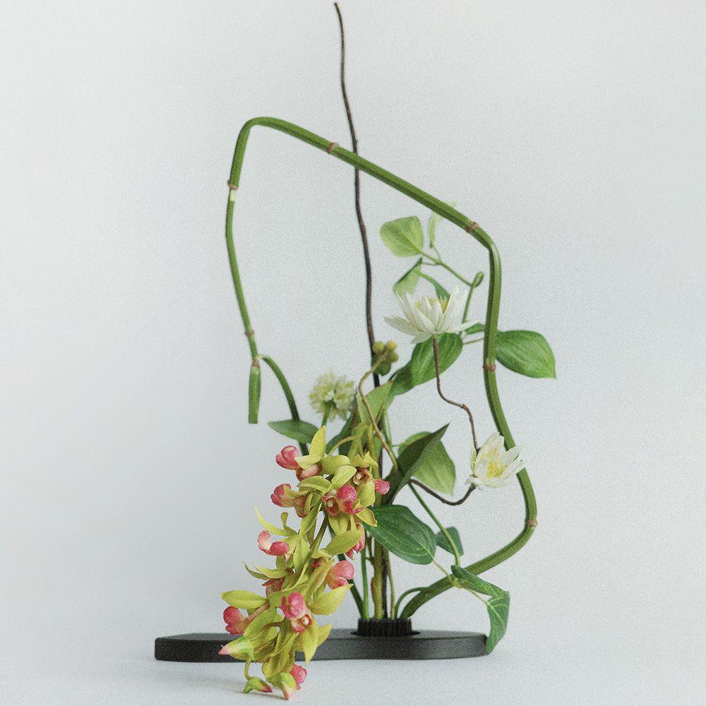 [타임리스 플라워 꽃꽂이 키트] Sleek oncidium