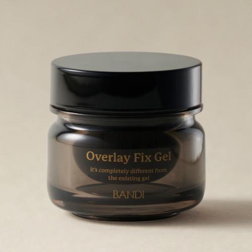 오버레이 픽스젤