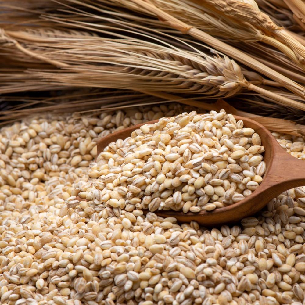 23년산 국산 [ 유기농 늘보리 1kg ] 식이섬유 풍부한 보리밥 잡곡밥