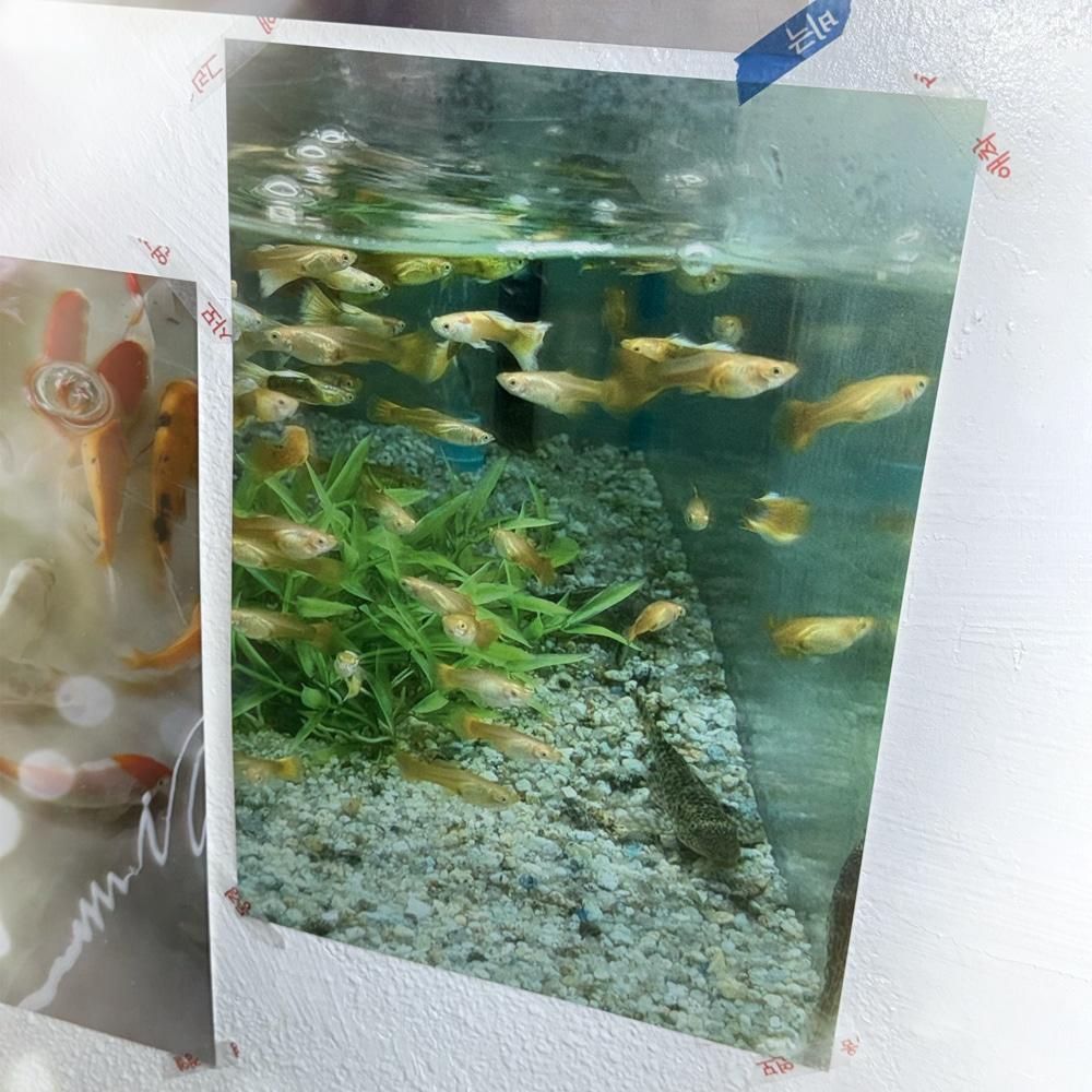 물질 생활 A3 POSTER (3종)