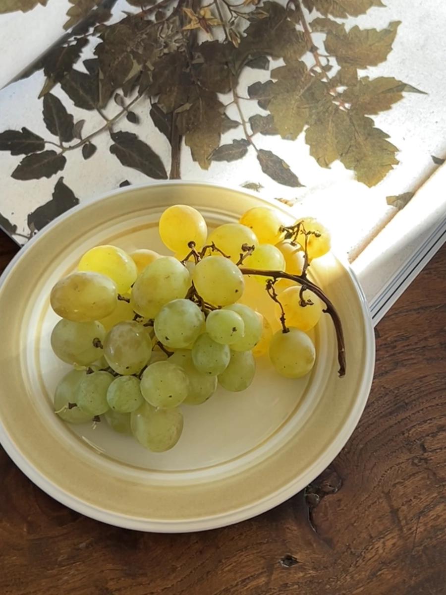 1970s 영국 퍼플 쇼어 아씨에뜨 아 빵