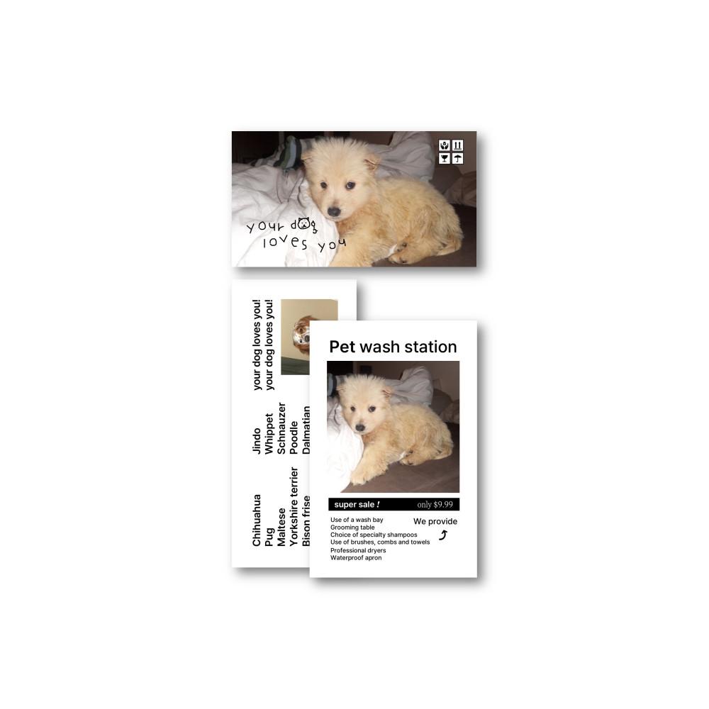 dog pack series