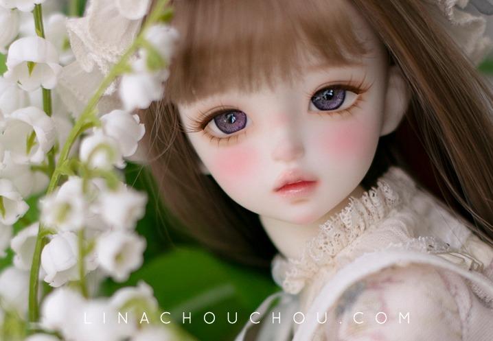 ［Limited］이베리스 : Iberis ♥ FILSTUDIO