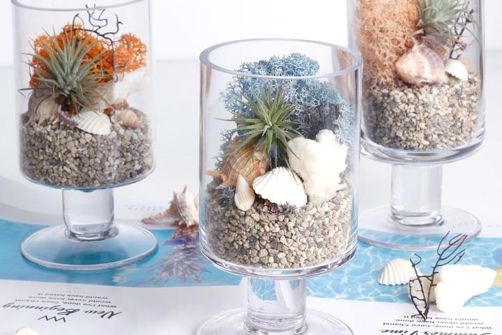 틸란드시아 일자스탠드 테라리움 DIY_15colors