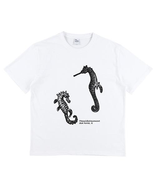 TCM sea horse T (white)